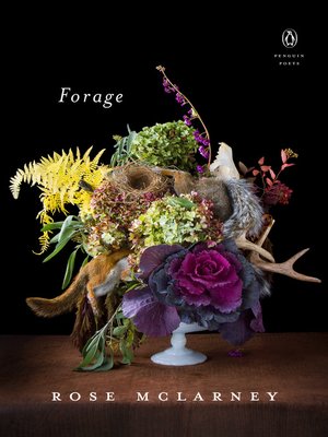 cover image of Forage
